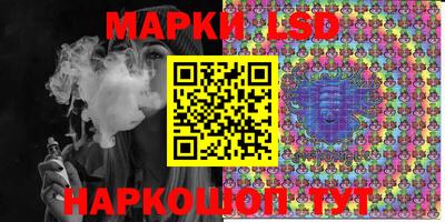 индика Краснознаменск