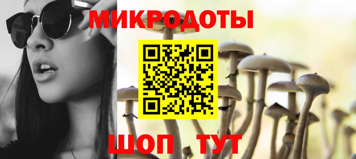Псилоцибиновые грибы мицелий  закладки  Калач-на-Дону  Вход с VPN 
