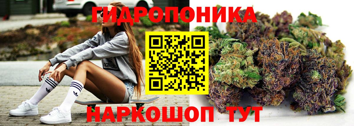 Конопля планчик Калач-на-Дону